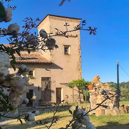 Soulful Holiday Home In Modena Wth Garden エクステリア 写真
